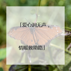 爱心润无声，情暖救助路