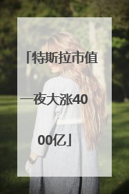 特斯拉市值一夜大涨4000亿