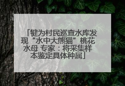 犍为村民巡查水库发现“水中大熊猫”桃花水母 专家：将采集样本鉴定具体种属