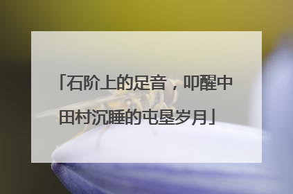 石阶上的足音，叩醒中田村沉睡的屯垦岁月