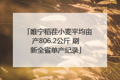 睢宁稻茬小麦平均亩产806.2公斤 刷新全省单产纪录