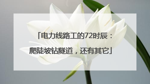 电力线路工的72时辰：爬陡坡钻隧道，还有其它