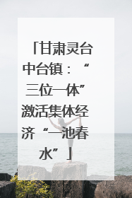 甘肃灵台中台镇：“三位一体”激活集体经济“一池春水”