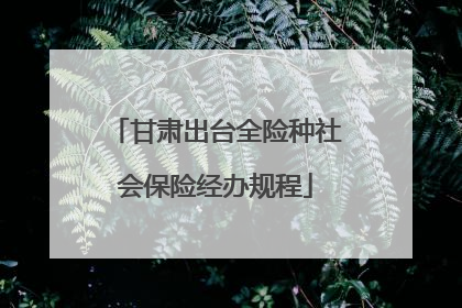 甘肃出台全险种社会保险经办规程
