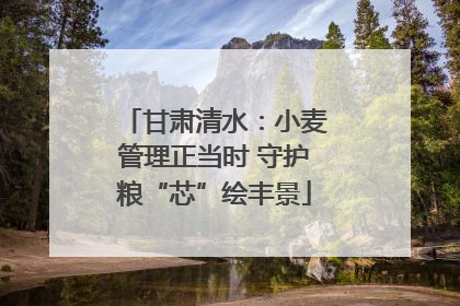 甘肃清水：小麦管理正当时 守护粮“芯”绘丰景