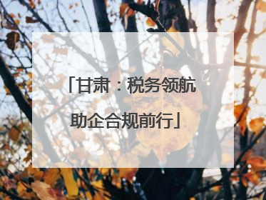 甘肃：税务领航 助企合规前行