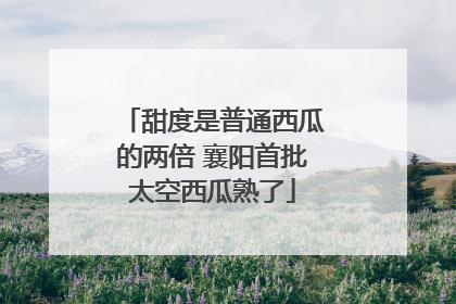 甜度是普通西瓜的两倍 襄阳首批太空西瓜熟了