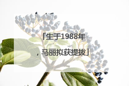 生于1988年，马丽拟获提拔