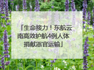 生命接力！东航云南高效护航4例人体捐献器官运输