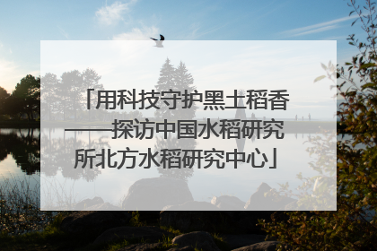用科技守护黑土稻香——探访中国水稻研究所北方水稻研究中心