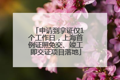 申请到拿证仅1个工作日，上海首例证照免交、竣工即交证项目落地