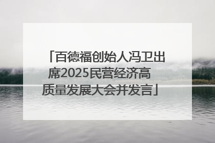 百德福创始人冯卫出席2025民营经济高质量发展大会并发言