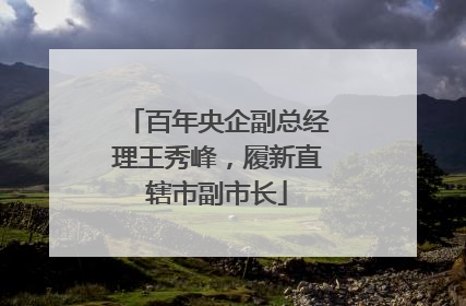 百年央企副总经理王秀峰，履新直辖市副市长