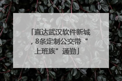 直达武汉软件新城，8条定制公交带“上班族”通勤