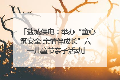 盐城供电：举办“童心筑安全 亲情伴成长”六一儿童节亲子活动