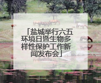 盐城举行六五环境日暨生物多样性保护工作新闻发布会