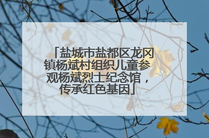 盐城市盐都区龙冈镇杨斌村组织儿童参观杨斌烈士纪念馆，传承红色基因