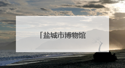 盐城市博物馆：银辉映端阳 釉彩谱华章