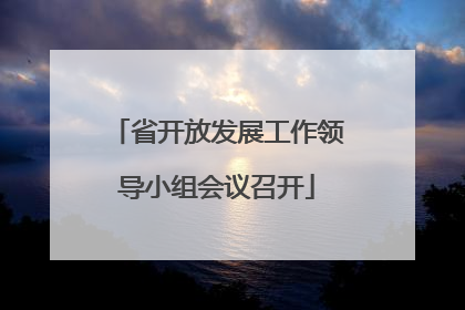 省开放发展工作领导小组会议召开