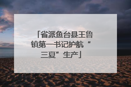 省派鱼台县王鲁镇第一书记护航“三夏”生产