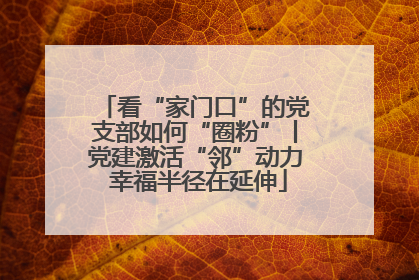 看“家门口”的党支部如何“圈粉”丨党建激活“邻”动力 幸福半径在延伸