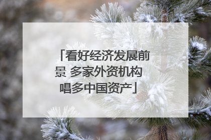 看好经济发展前景 多家外资机构唱多中国资产