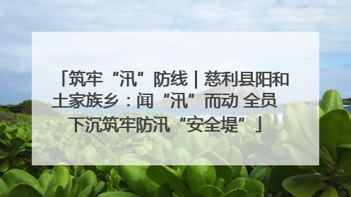 筑牢“汛”防线｜慈利县阳和土家族乡：闻“汛”而动 全员下沉筑牢防汛“安全堤”