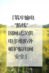 筑牢输电“防线” 国网武汉供电多维防外破护航电网安全