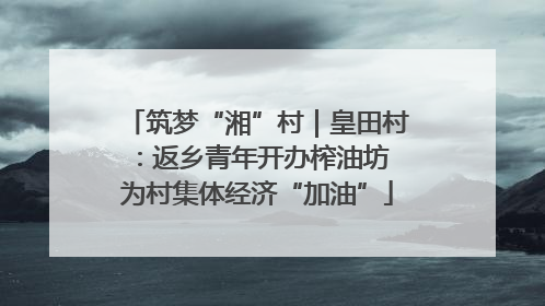 筑梦“湘”村｜皇田村：返乡青年开办榨油坊 为村集体经济“加油”