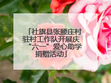 社旗县张腰庄村驻村工作队开展庆“六一”爱心助学捐赠活动