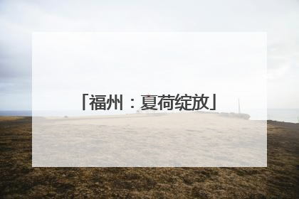 福州：夏荷绽放