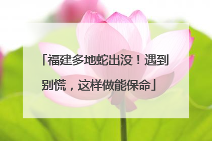 福建多地蛇出没！遇到别慌，这样做能保命