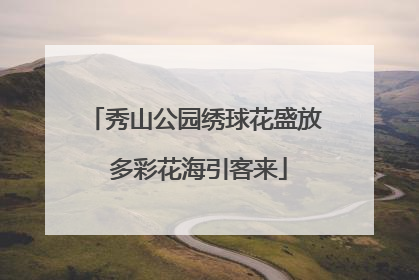 秀山公园绣球花盛放 多彩花海引客来
