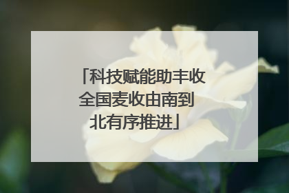 科技赋能助丰收 全国麦收由南到北有序推进