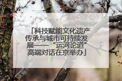 科技赋能文化遗产传承与城市可持续发展——“运河论道”高端对话在京举办