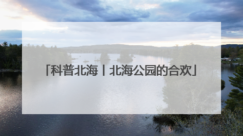 科普北海丨北海公园的合欢