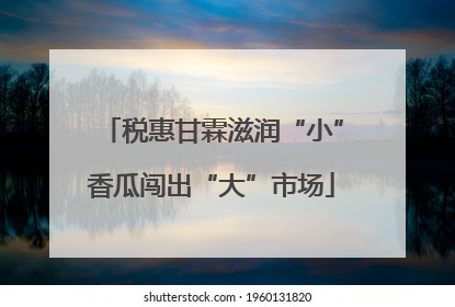 税惠甘霖滋润“小”香瓜闯出“大”市场