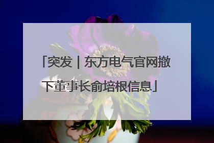 突发｜东方电气官网撤下董事长俞培根信息