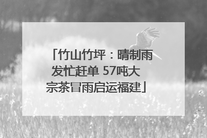 竹山竹坪：晴制雨发忙赶单 57吨大宗茶冒雨启运福建