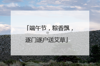端午节，粽香飘，逐门逐户送艾草