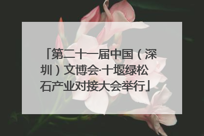 第二十一届中国（深圳）文博会·十堰绿松石产业对接大会举行