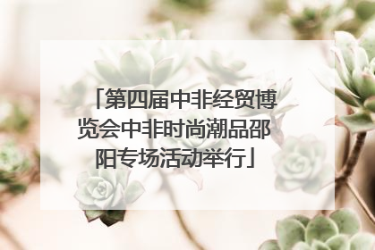第四届中非经贸博览会中非时尚潮品邵阳专场活动举行