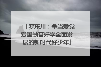 罗东川：争当爱党爱国勤奋好学全面发展的新时代好少年