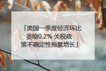 美国一季度经济环比萎缩0.2% 关税政策不确定性拖累增长