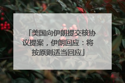 美国向伊朗提交核协议提案，伊朗回应：将按原则适当回应