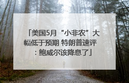 美国5月“小非农”大幅低于预期 特朗普速评：鲍威尔该降息了