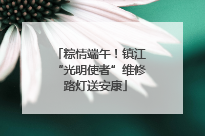 粽情端午！镇江“光明使者”维修路灯送安康