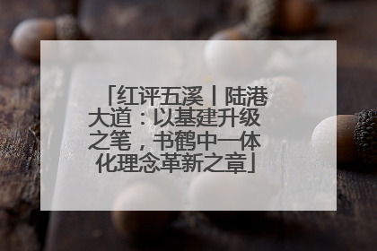 红评五溪丨陆港大道：以基建升级之笔，书鹤中一体化理念革新之章
