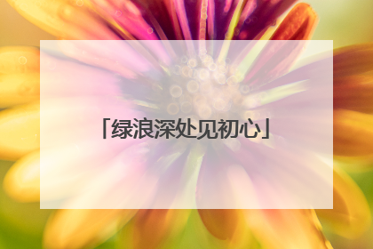 绿浪深处见初心