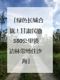 绿色长城合拢！甘肃民勤380公里锁边林带缚住沙海